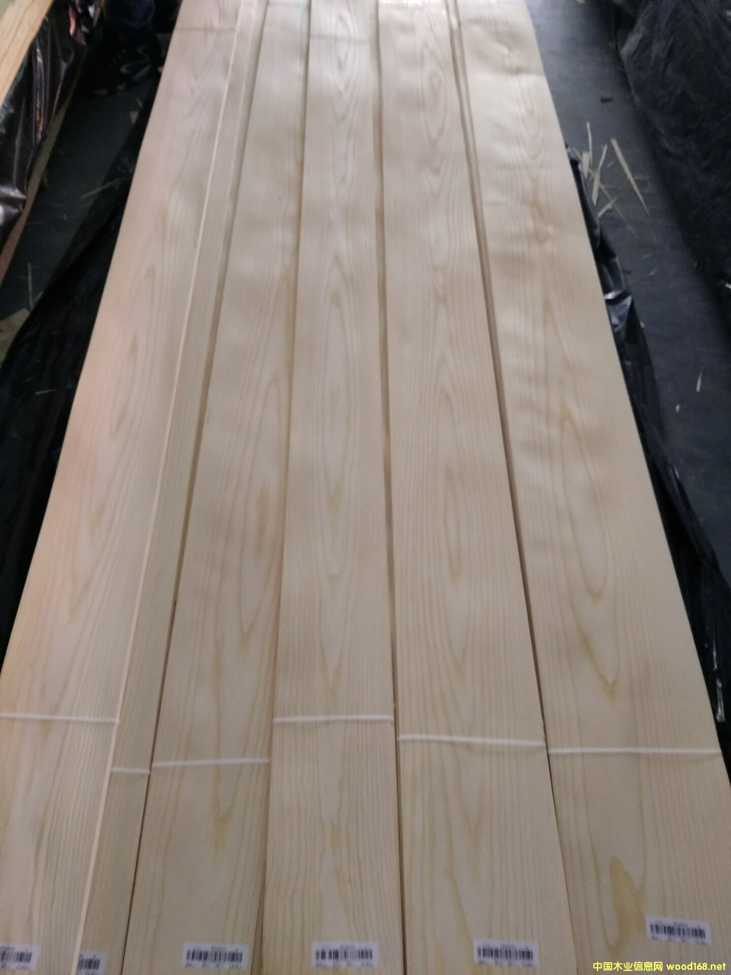 ��˨ɽ�y��Ԕ��(x��)��B