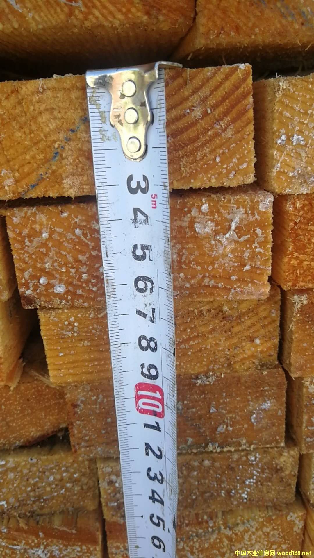 ���ɿ���