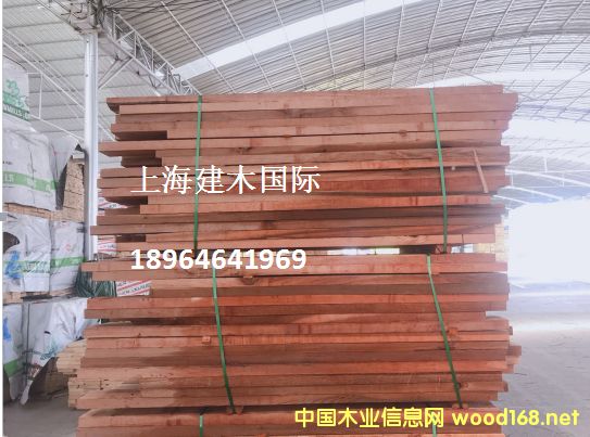 ���ô�tѩ��