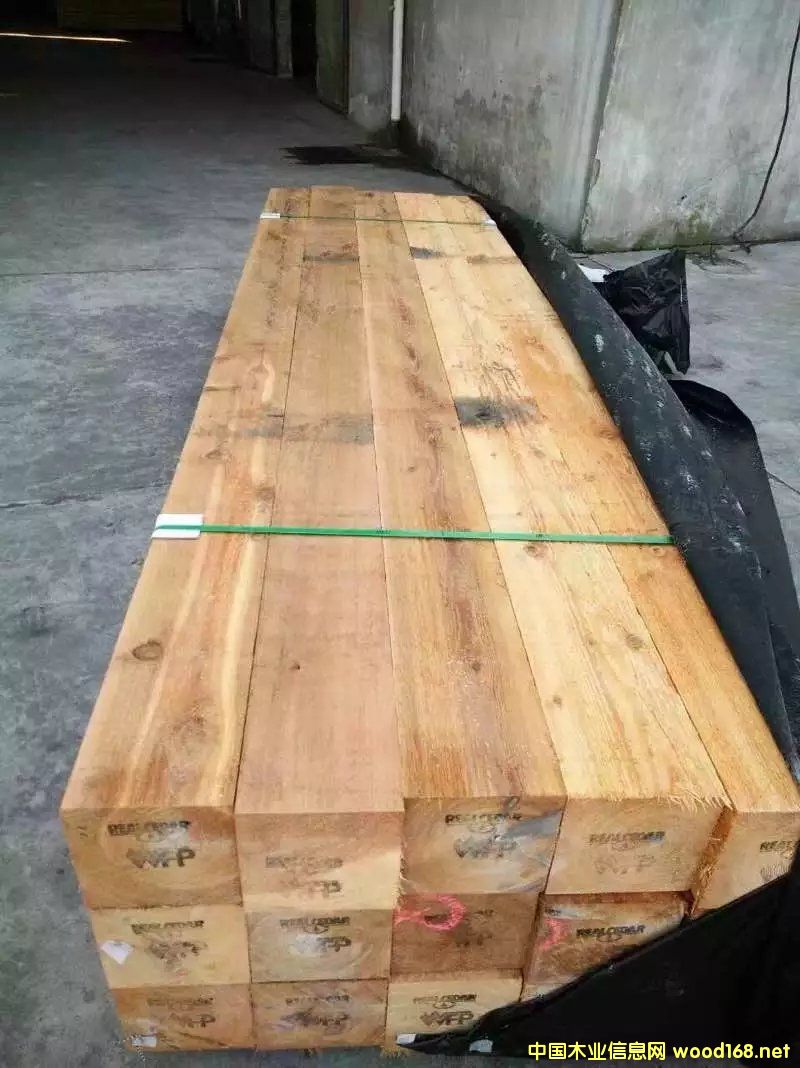 ���ô�tѩ�ɵ�Ԕ����B