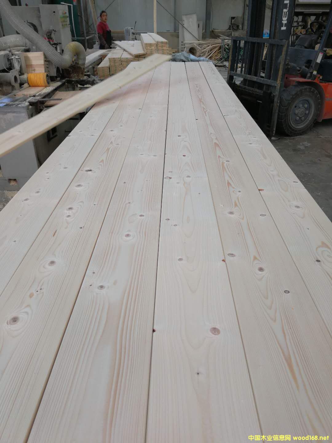 19�����Ԕ����B