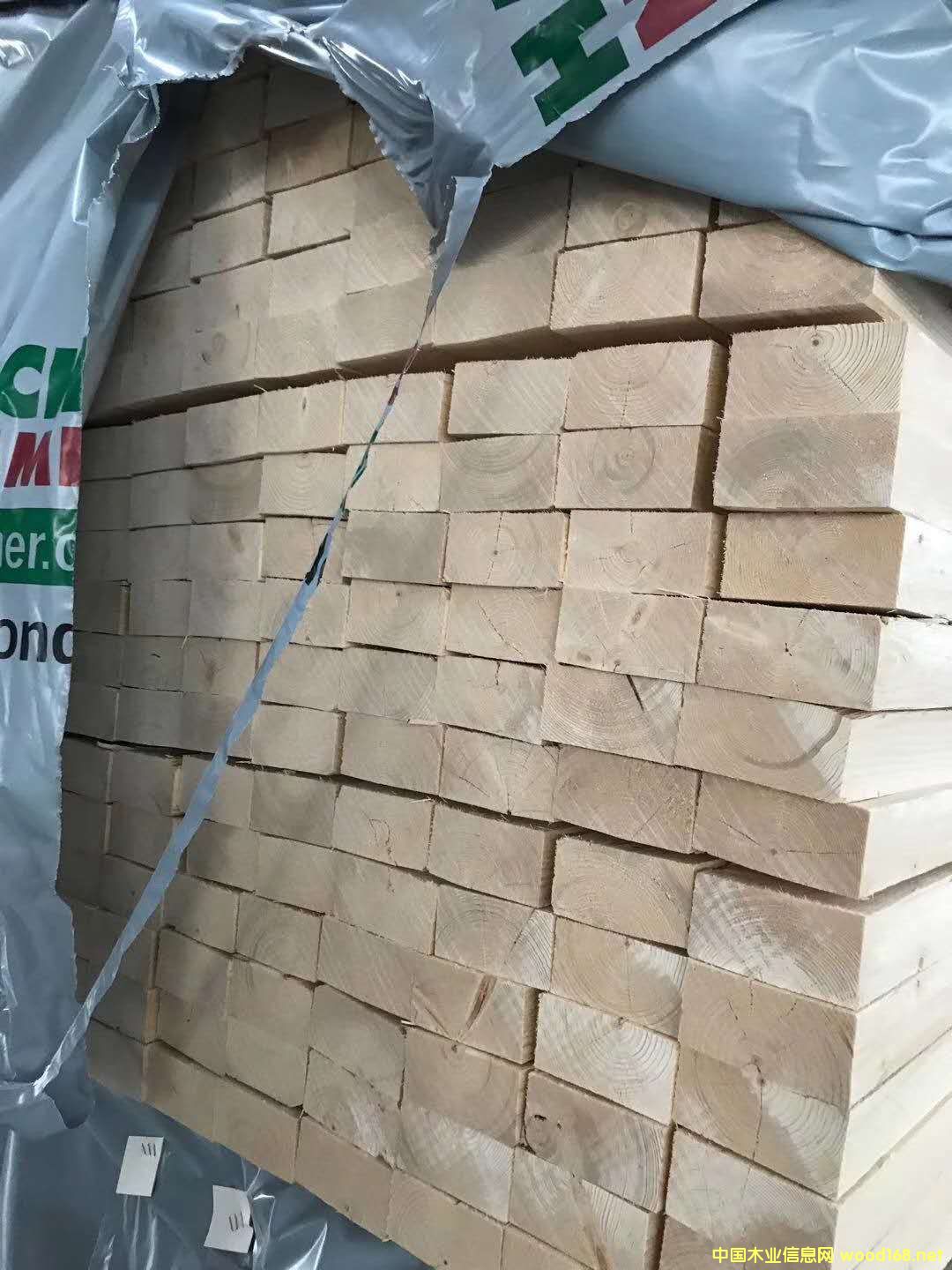  ��ɼ ���