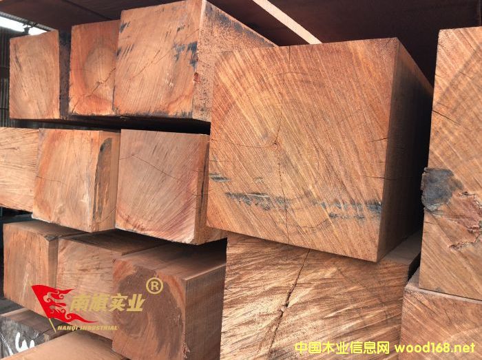 ����ľ����ľ�����Xһ�� ����ľ����ľ