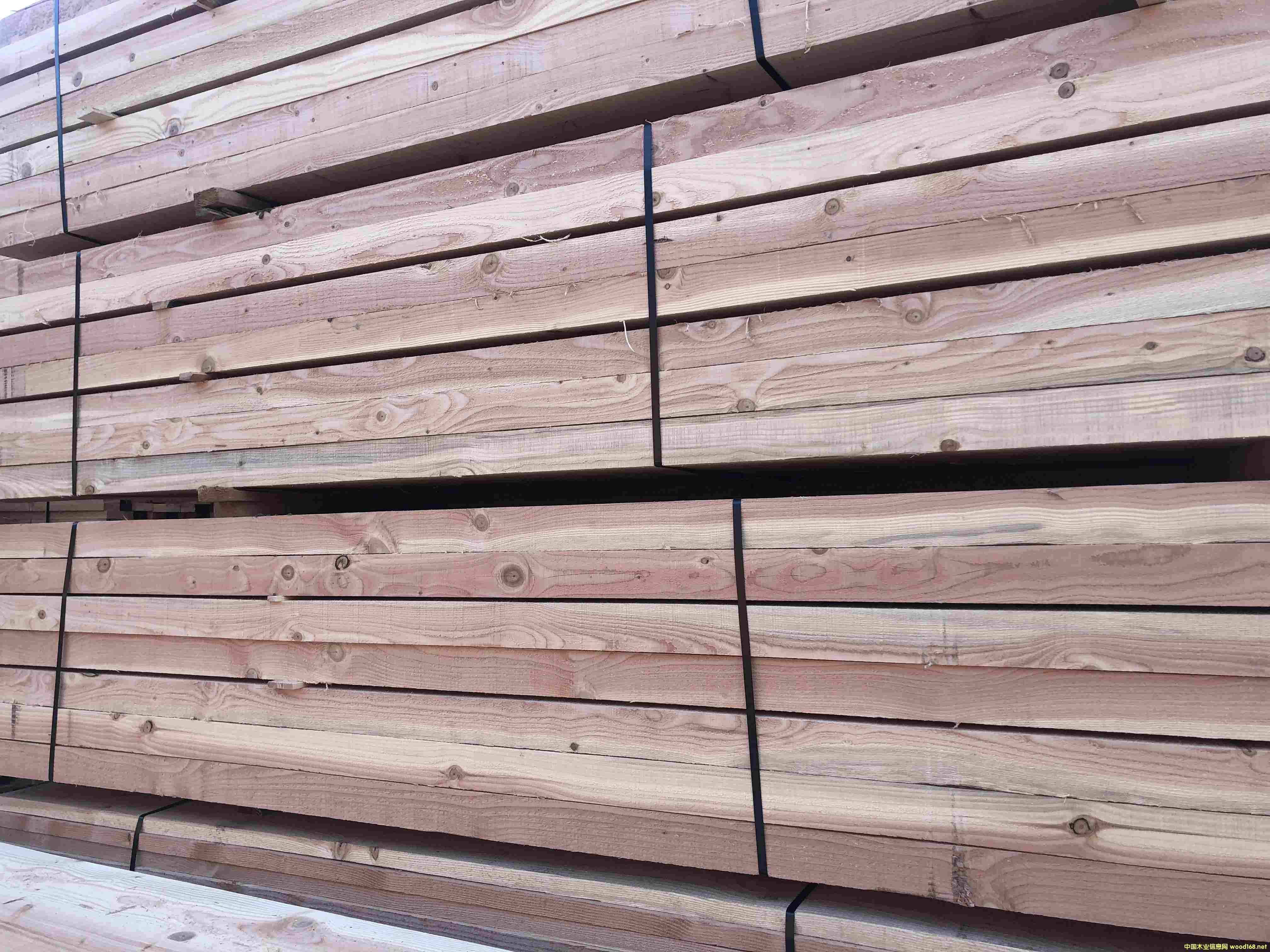 �����ɏS�� �����ɷ�ľ�r��