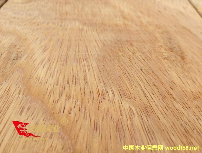 �Ϻ����}��ӹ��S ���޲��}�����l�r��