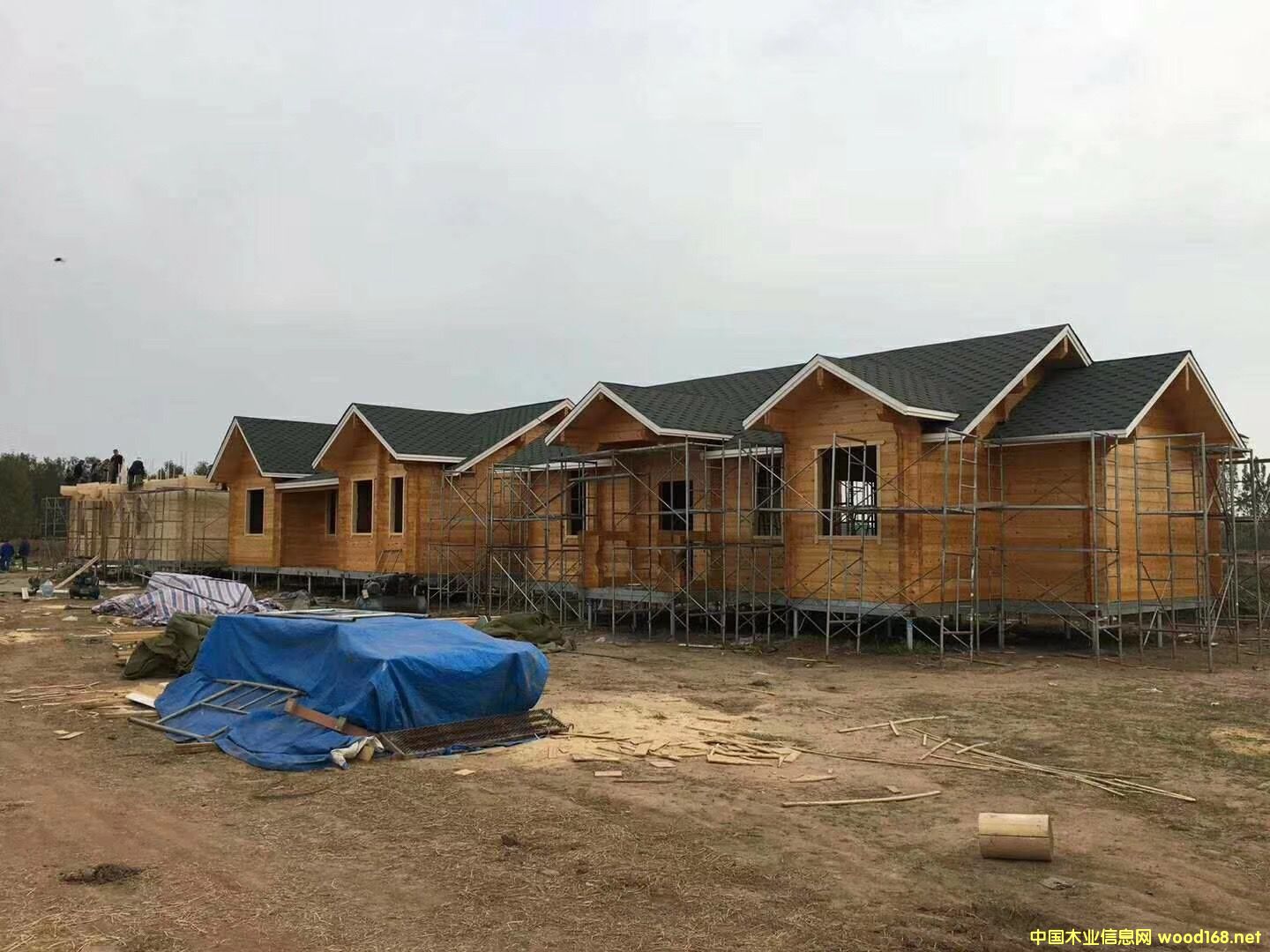 ľ�ݏS��  ľ�݄e���S��