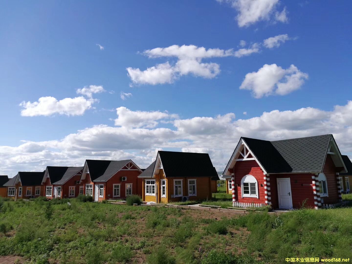 ľ�ݏS�� ľ�ݶ����Xһƽ��