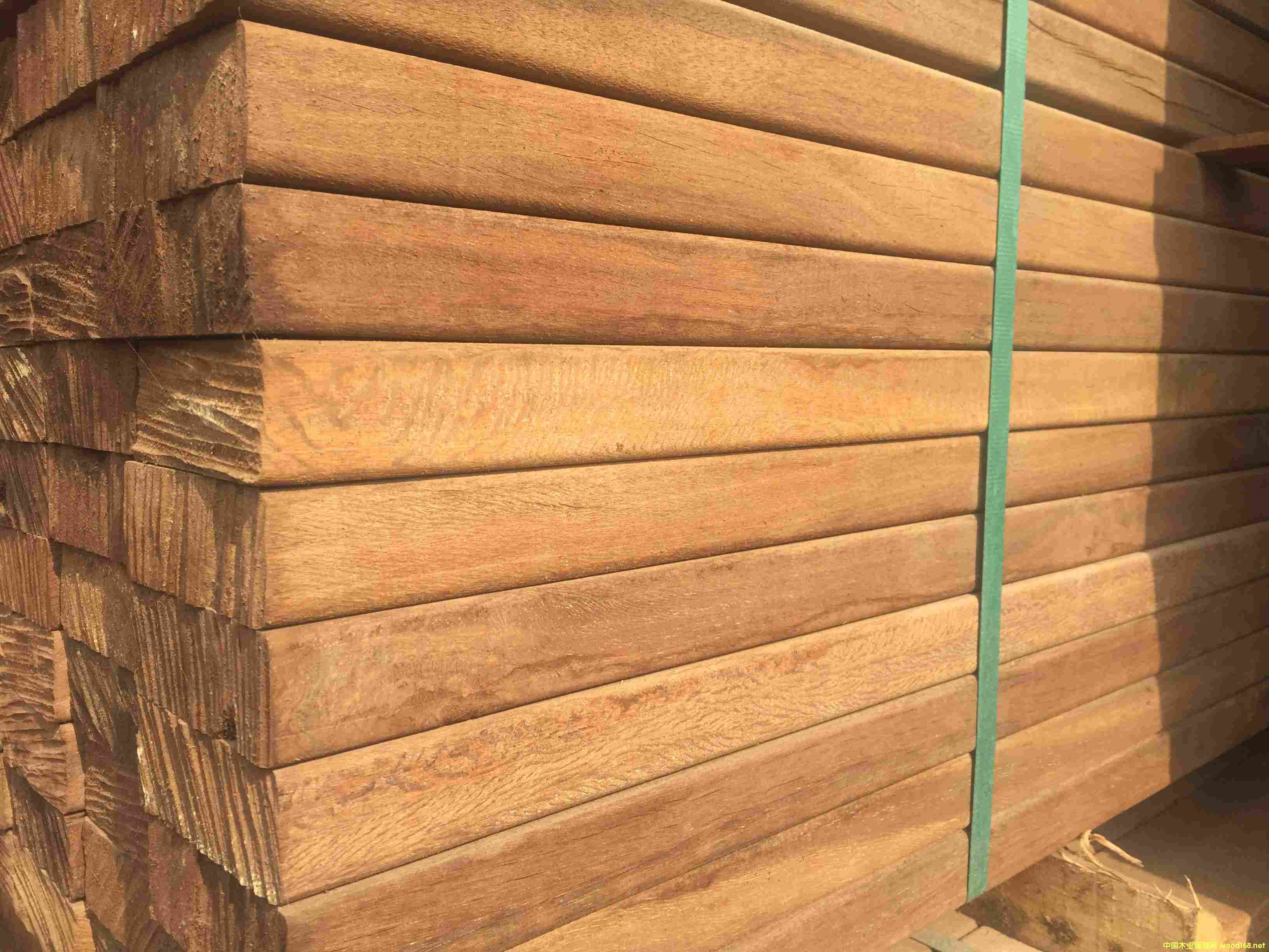 ����ľ����ľҎ�� �Ϻ�����ľ�S��