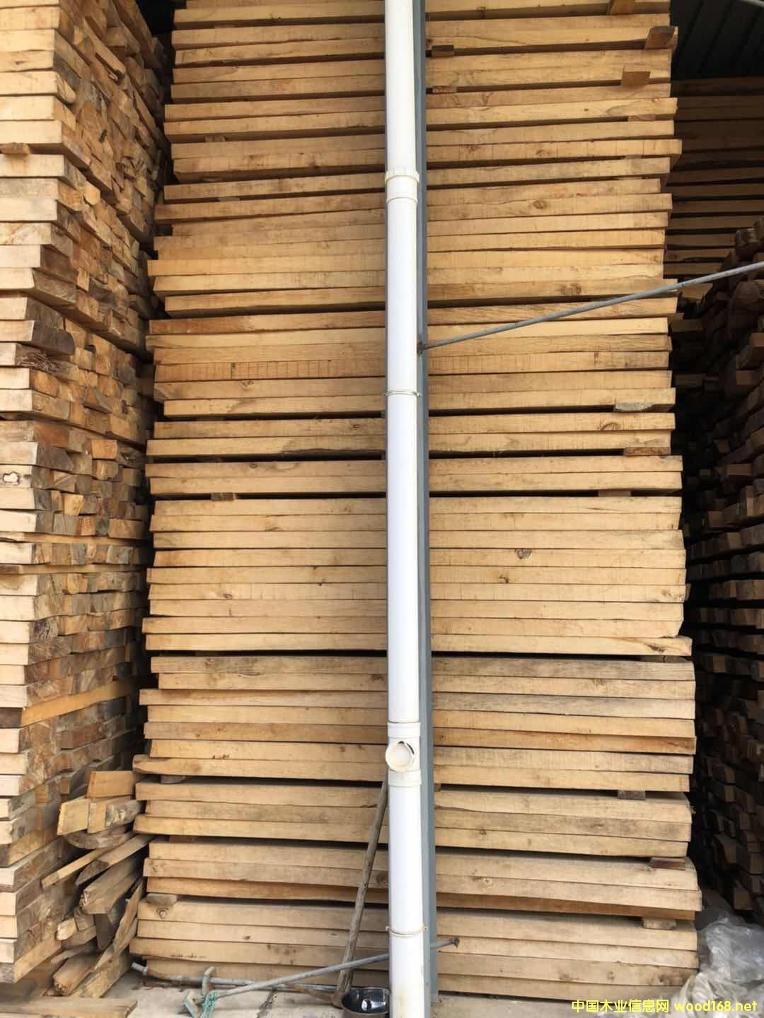 ����ľ��Ԕ����B