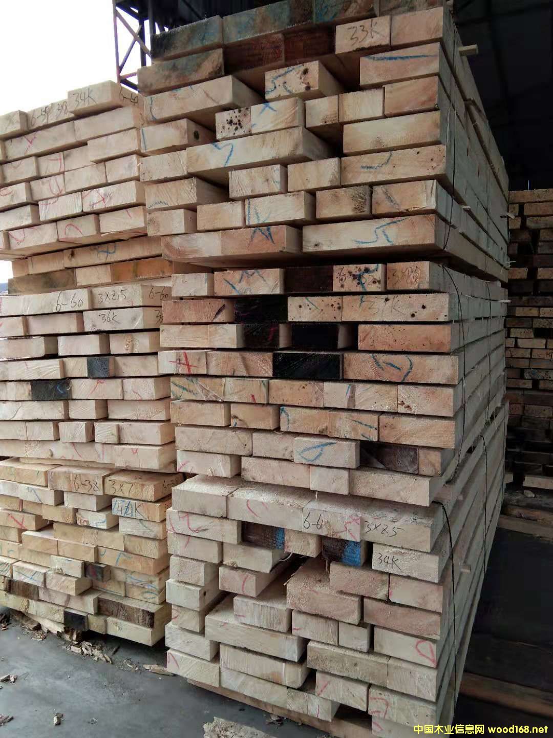 ��ɼ�o�Y(ji��)��