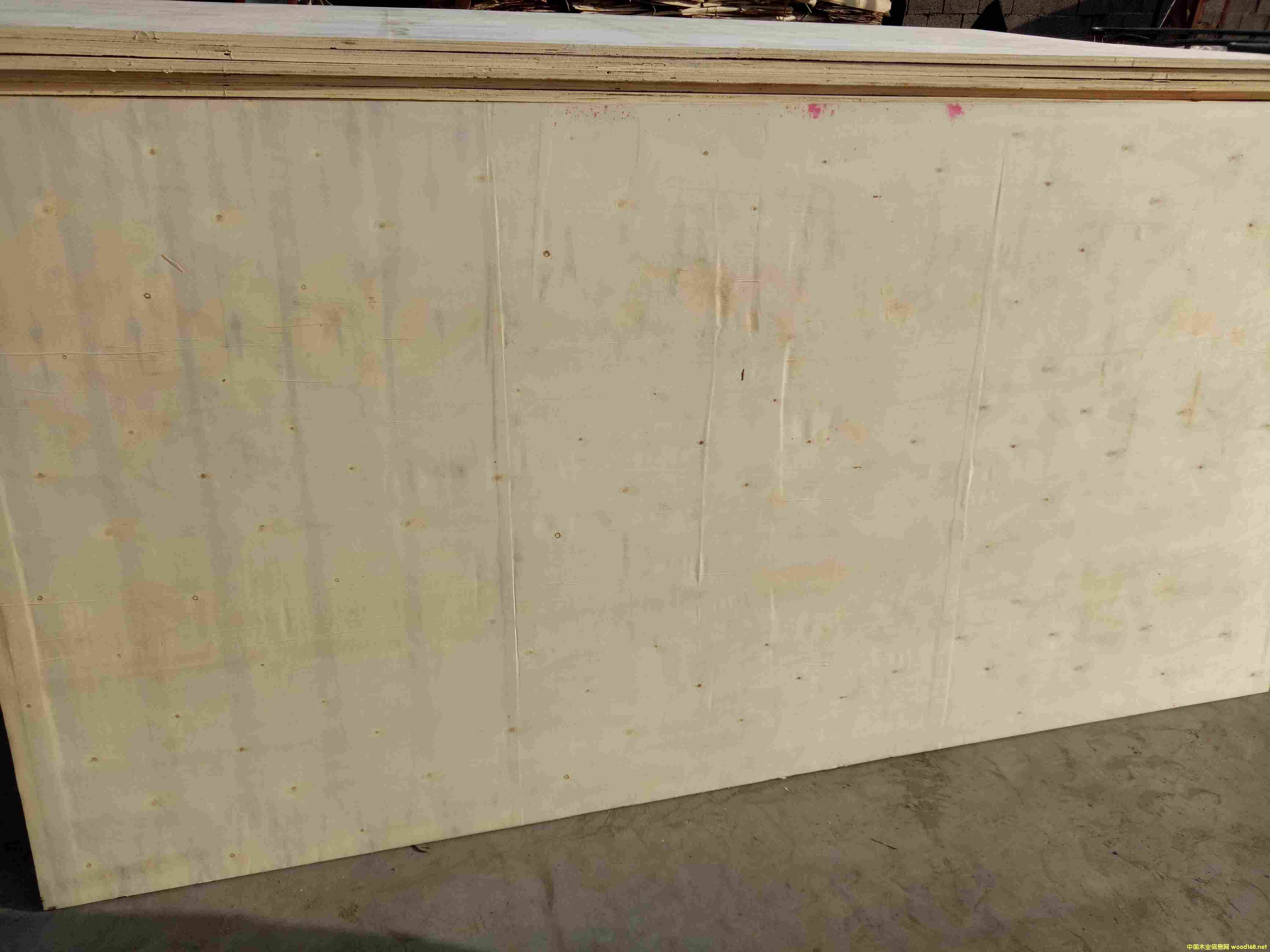 ���Ӱ��b���z�ϰ�