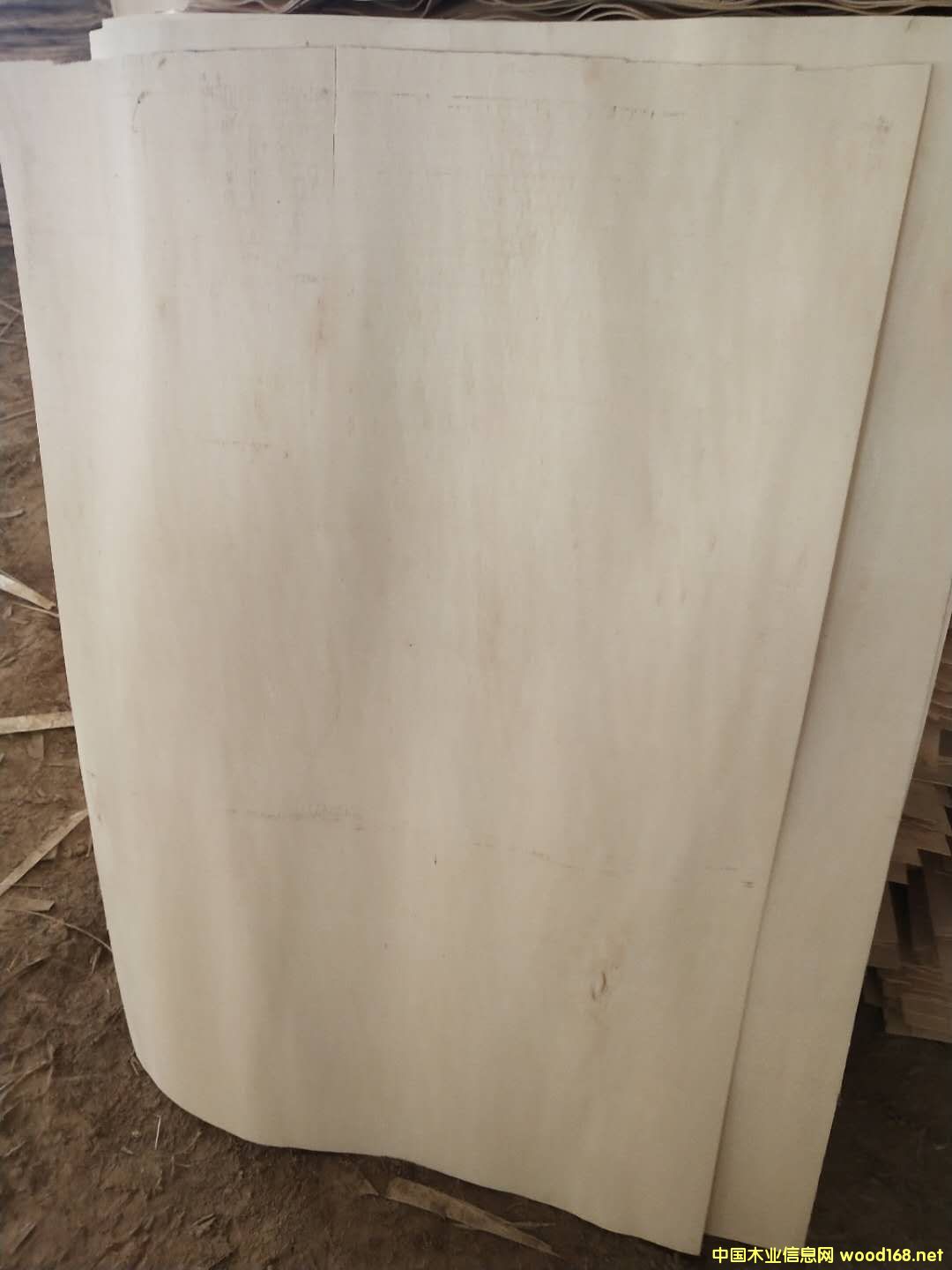 ��ĵ�Ԕ����B