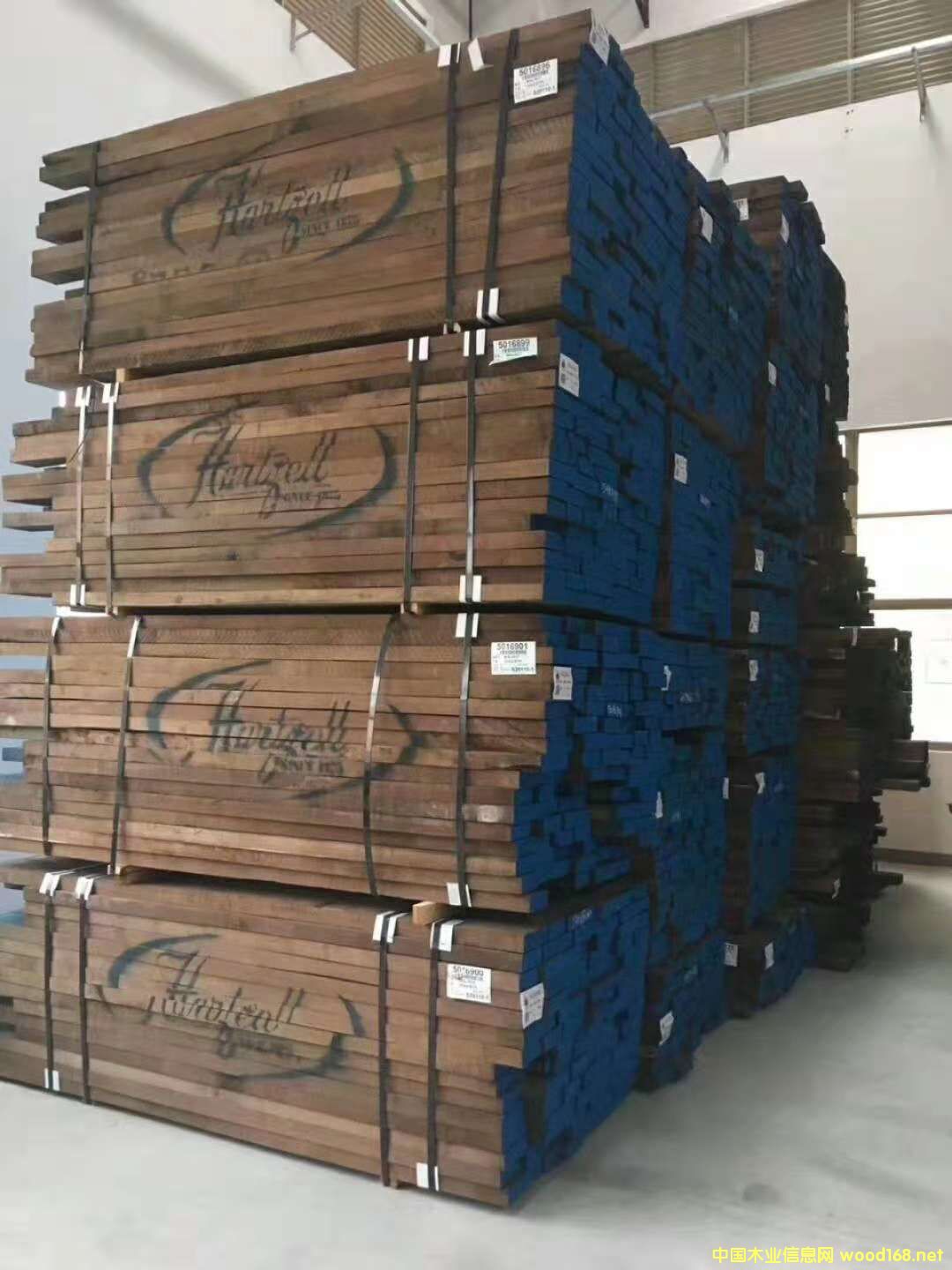 ��Ʒ�|�ں���