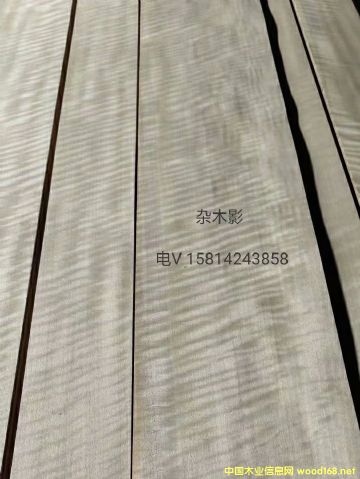 ���|��Ȼ�sľӰľƤ