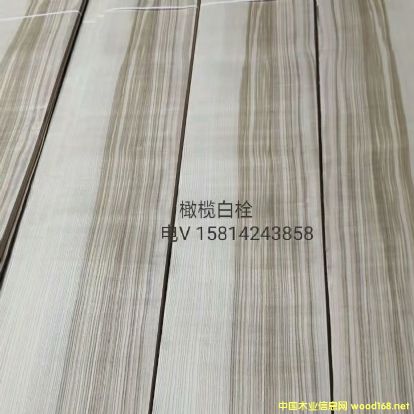 ��(y��u)�|(zh��)��Ȼ�ϙ��˨ľƤ