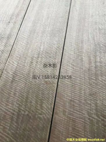 ���|��Ȼ�sľӰľƤ