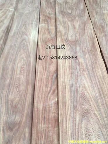 ���|��Ȼ����ɽ�yľƤ