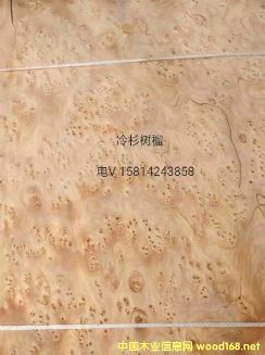 ���|��Ȼ��ɼ����ľƤ