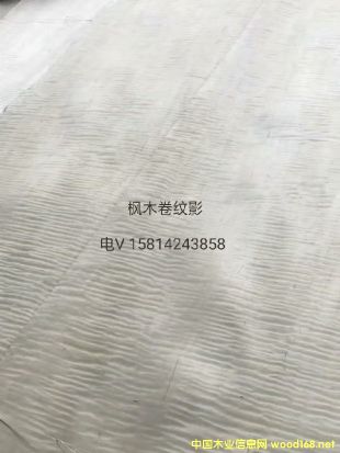 ��(y��u)�|��Ȼ��ľ���yӰľƤ