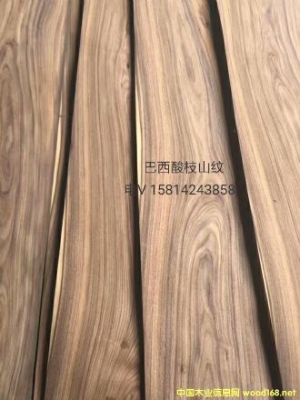 ���|��Ȼ������֦ɽ�yľƤ