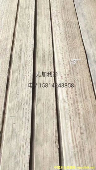 ���|��Ȼ�ȼ���ӰľƤ