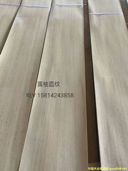 ���|��Ȼ�S��ֱ�yľƤ