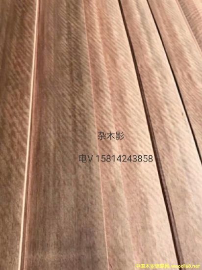 ���|��Ȼ�sľӰľƤ