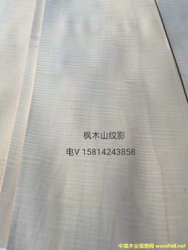 ���|��Ȼ��ľɽ�yӰľƤ