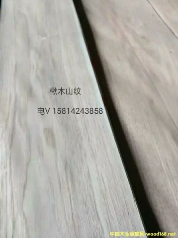 ���|��Ȼ�ľɽ�yľƤ