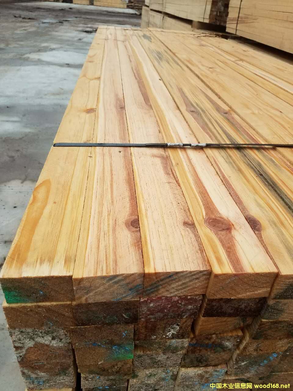 ����ľ����Ԕ����B