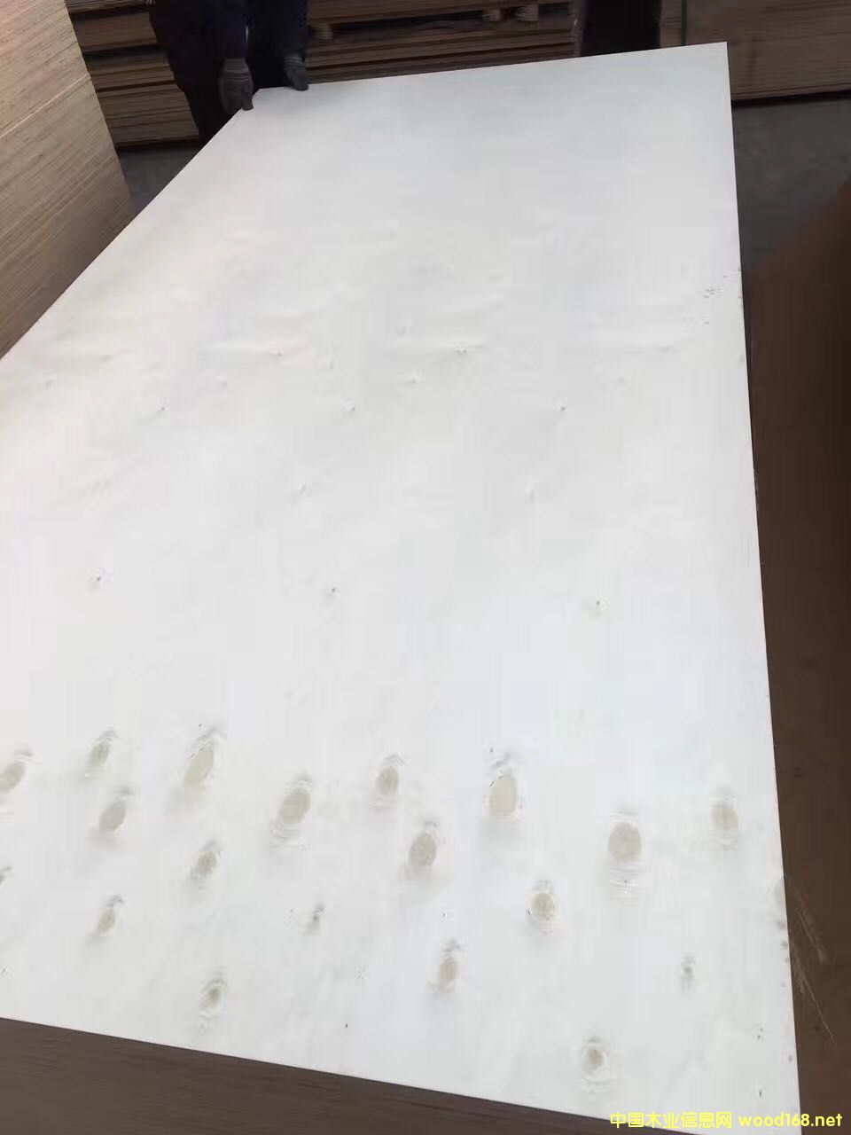 [��] 5-25����ӼҾ߰������������B��