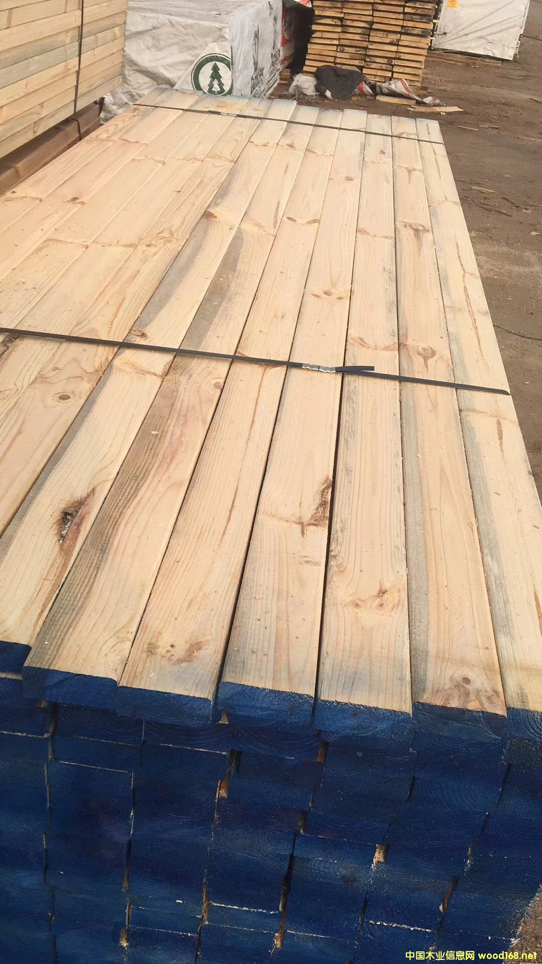 �S��ֱ�N������ľ������ľ��ľ������Ž��ġ����b�ĵ�Ԕ����B