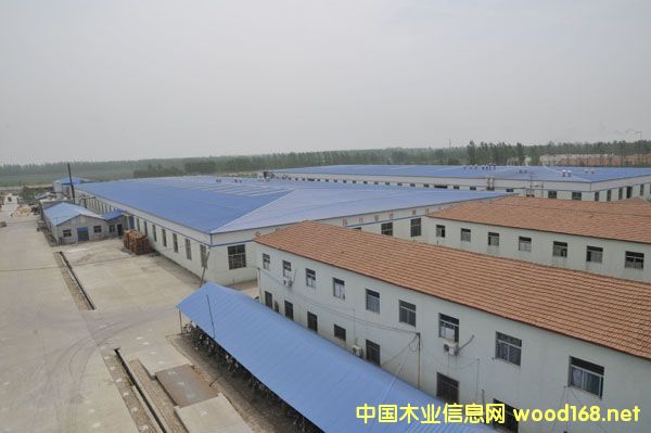 �S����Ԕ����B