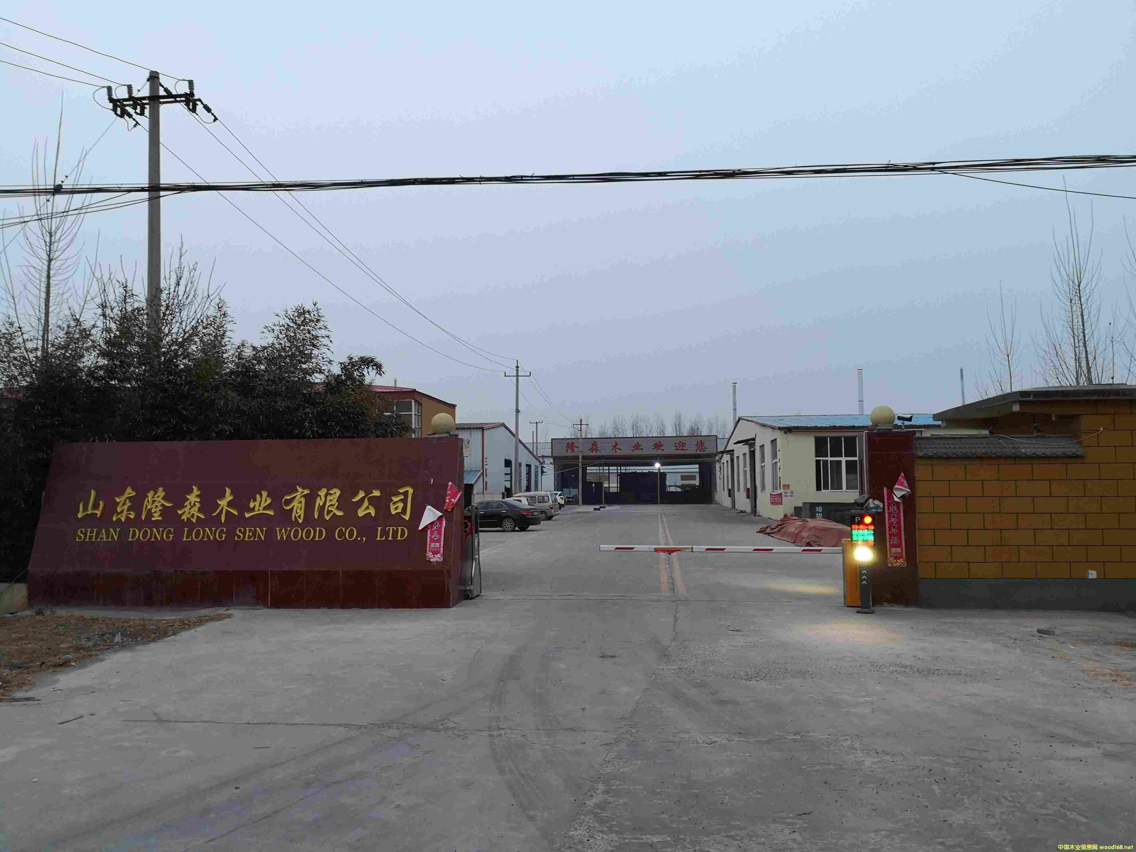 �S����Ԕ����B