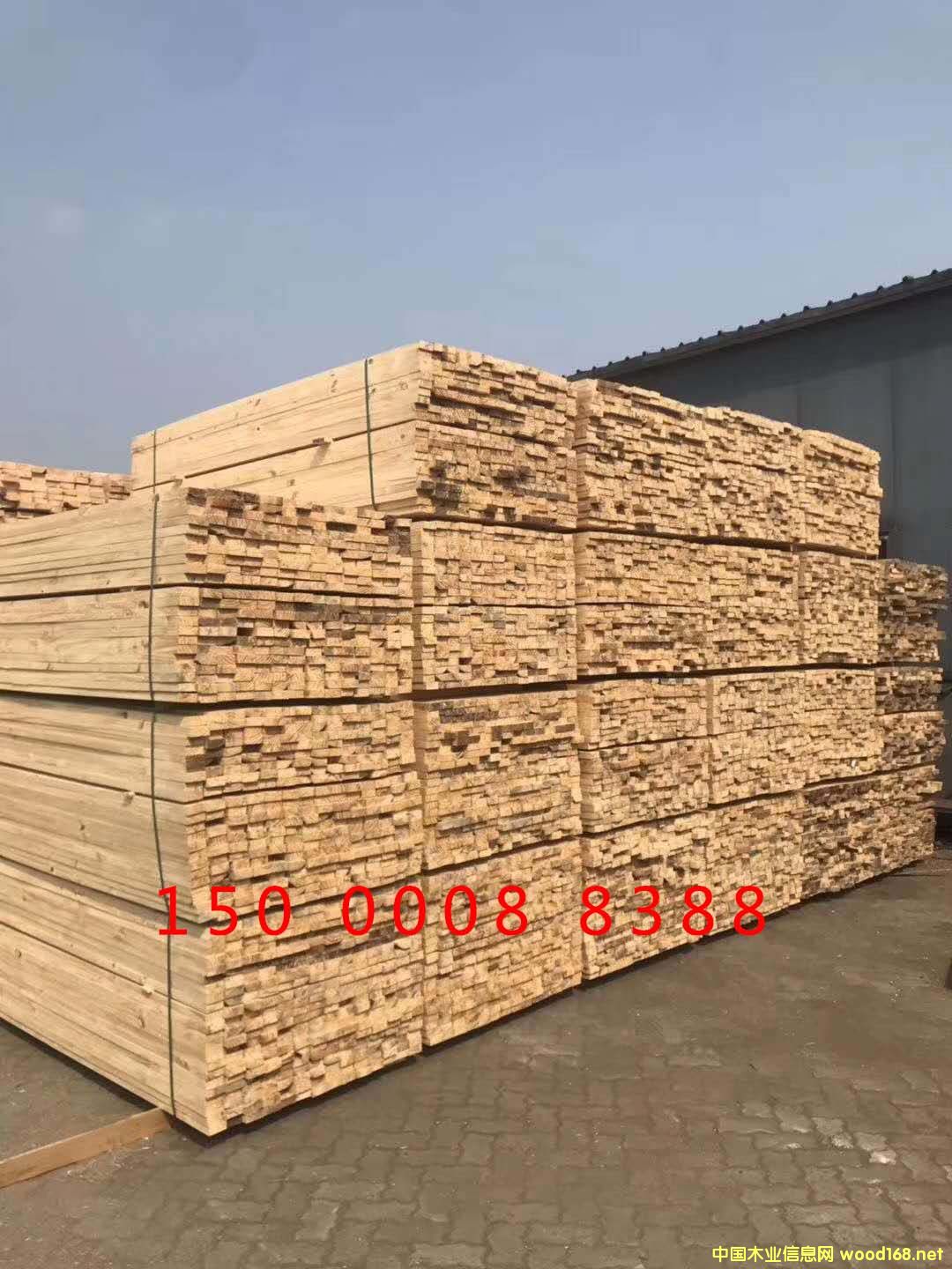 �Fɼ��Ԕ����B