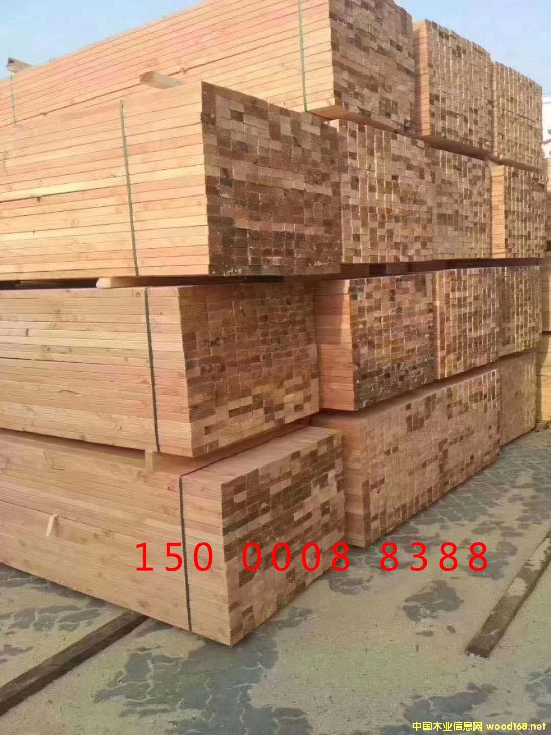 ���ɵ�Ԕ����B