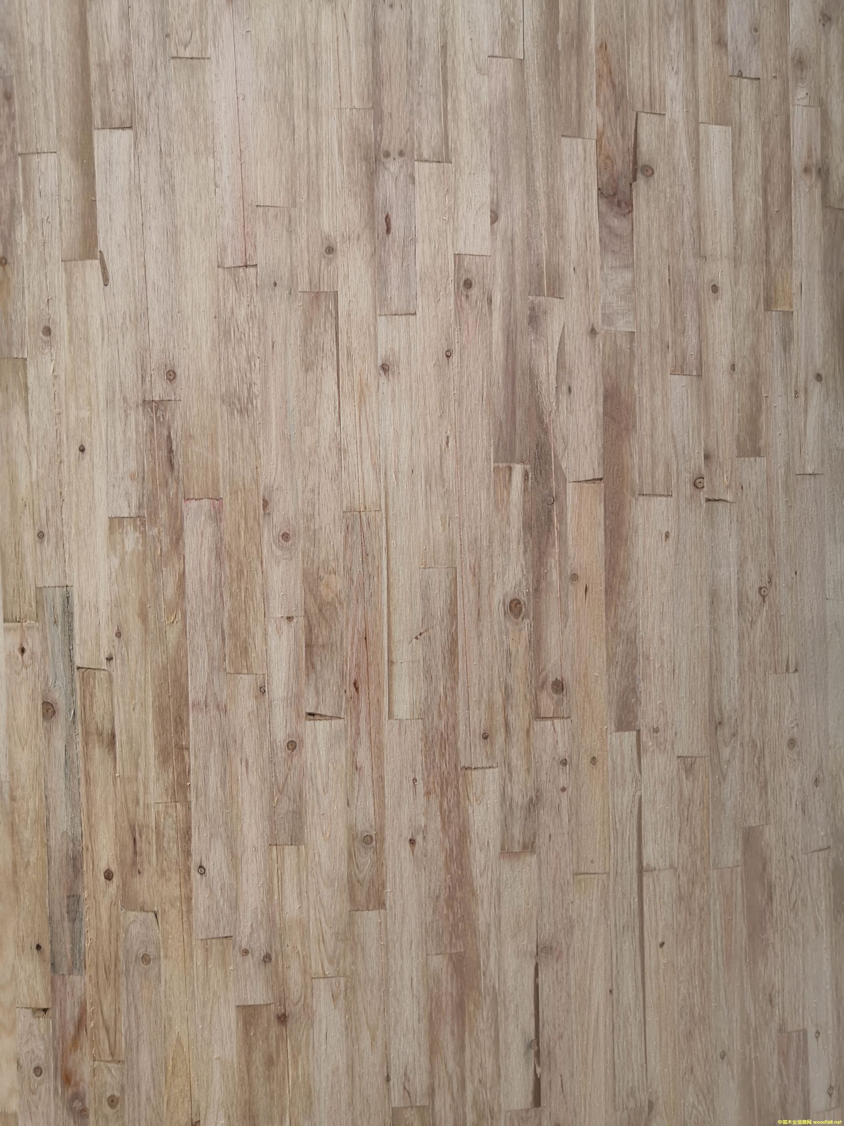 ����ľ���B��