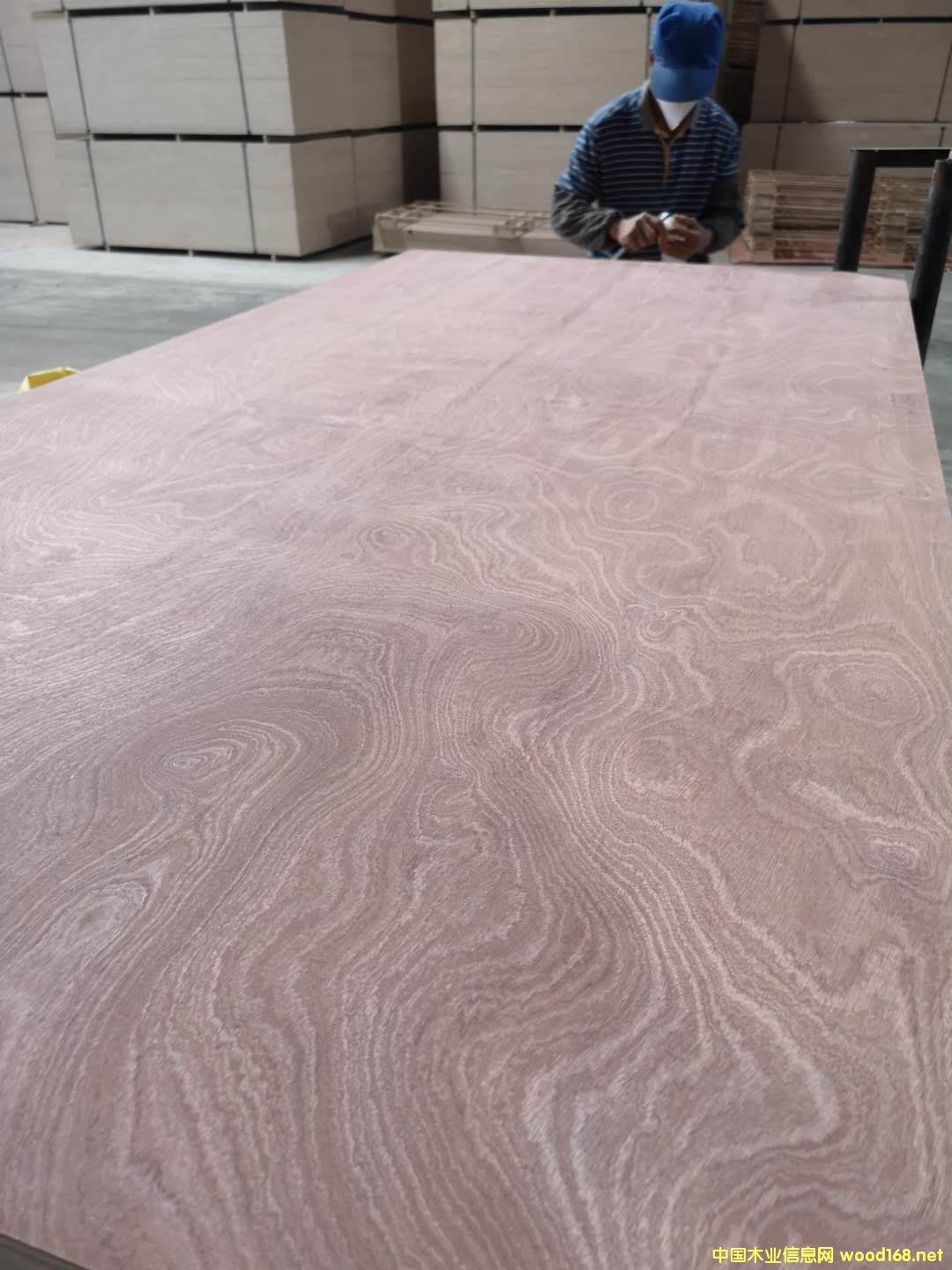 ��ĵ�Ԕ����B