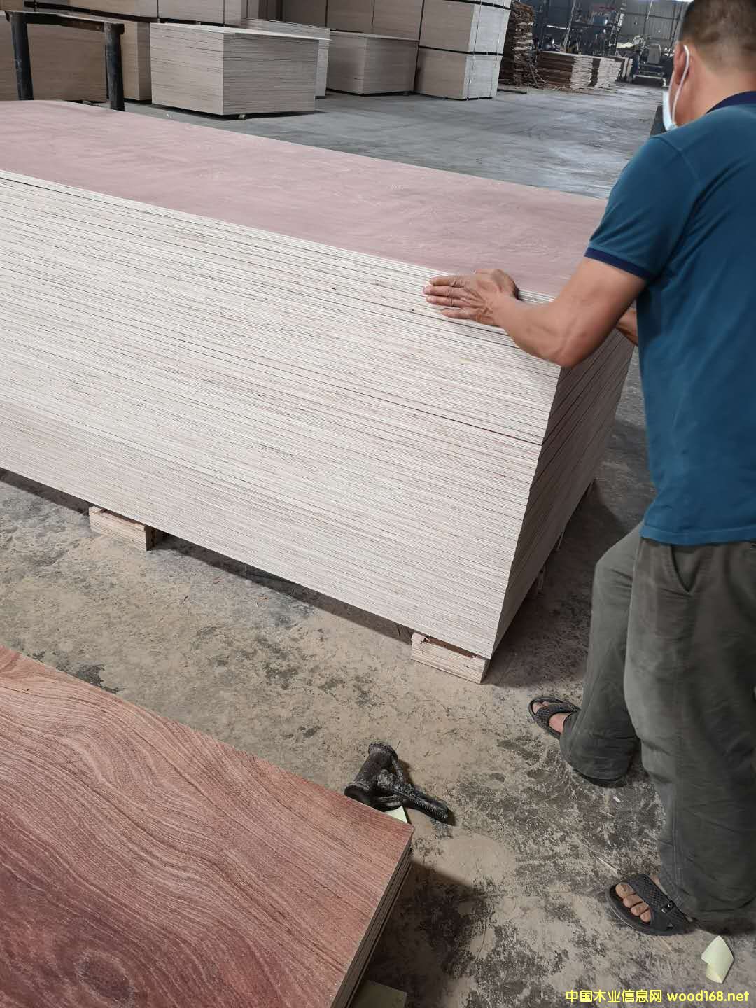 ��ĵ�Ԕ����B