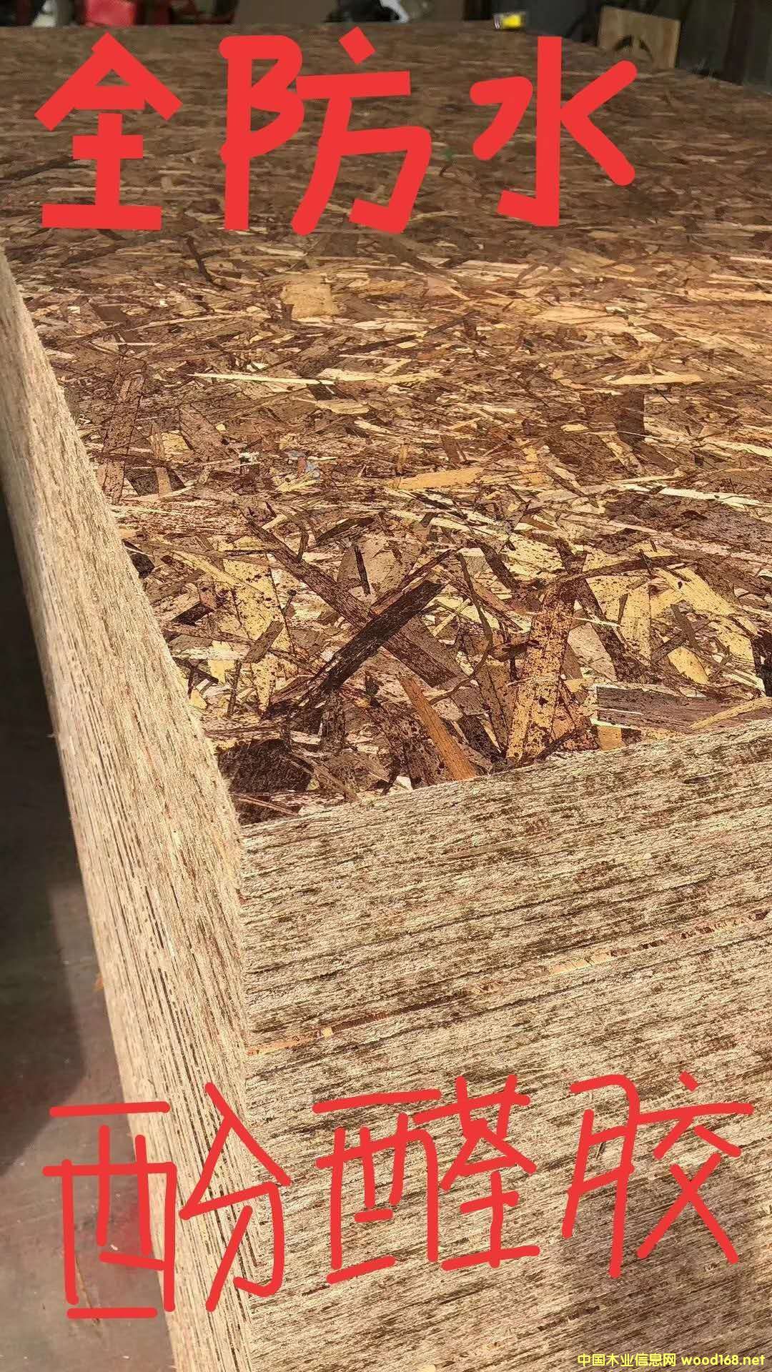 [��] ����OSB�W�ɰ�