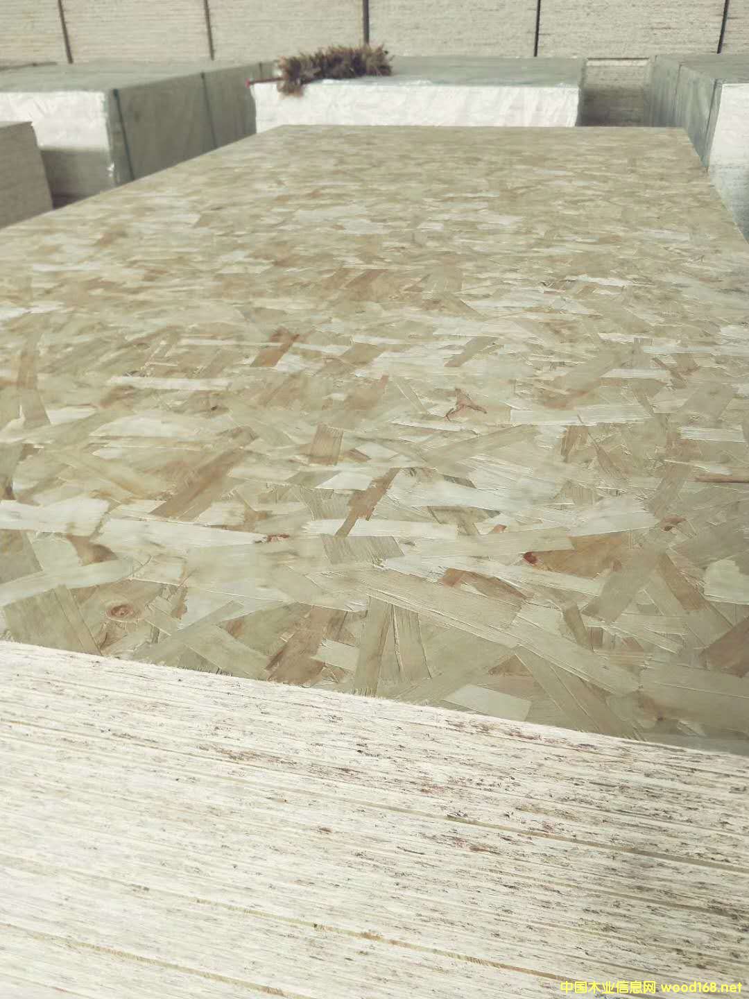 ɽ�|��ǧ����