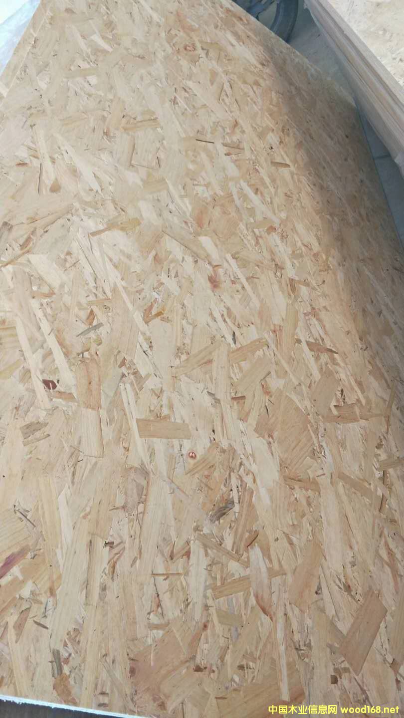 ɽ�|��ǧ���ĵ�Ԕ����B