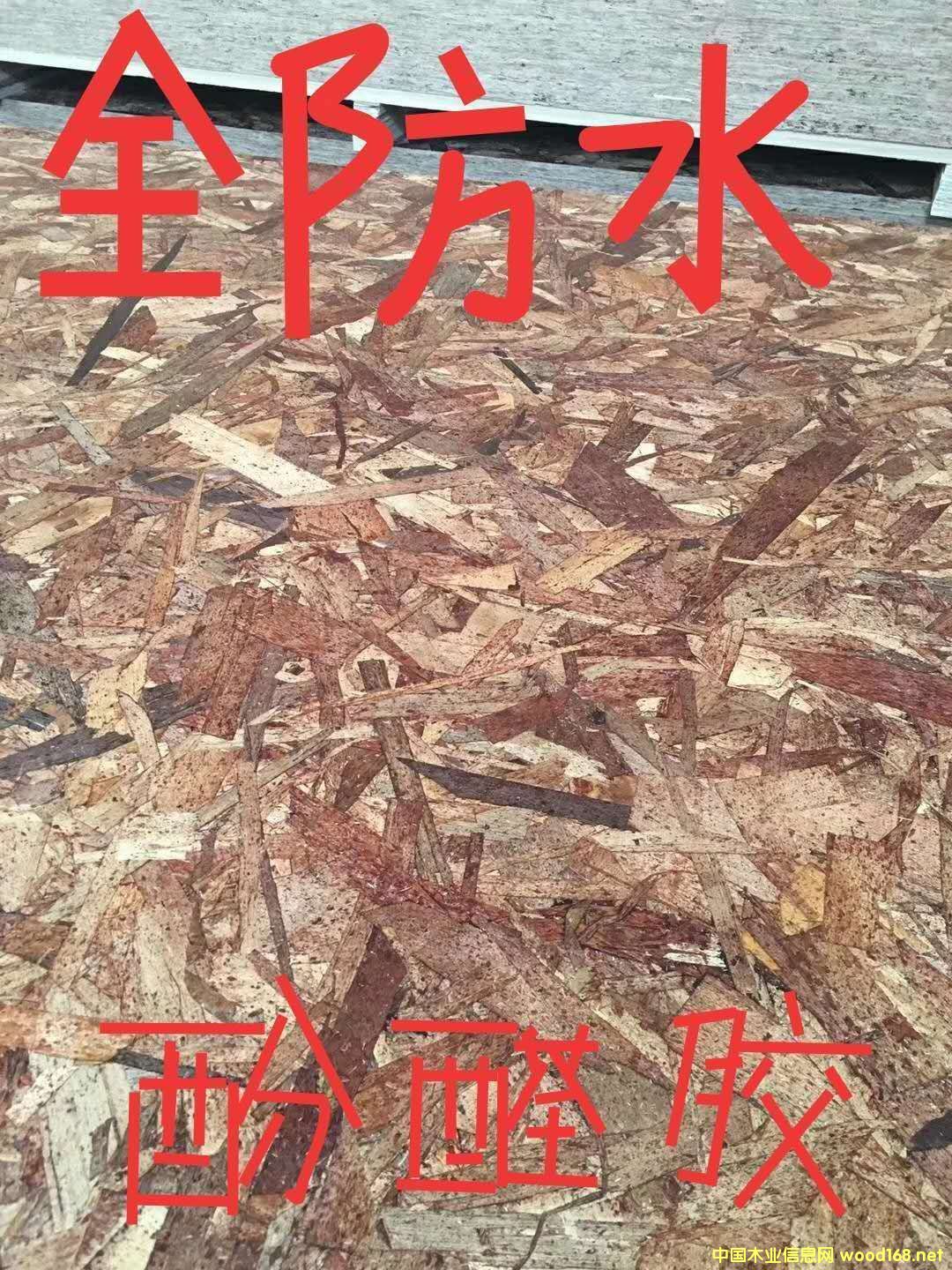 ɽ�|��ǧ����