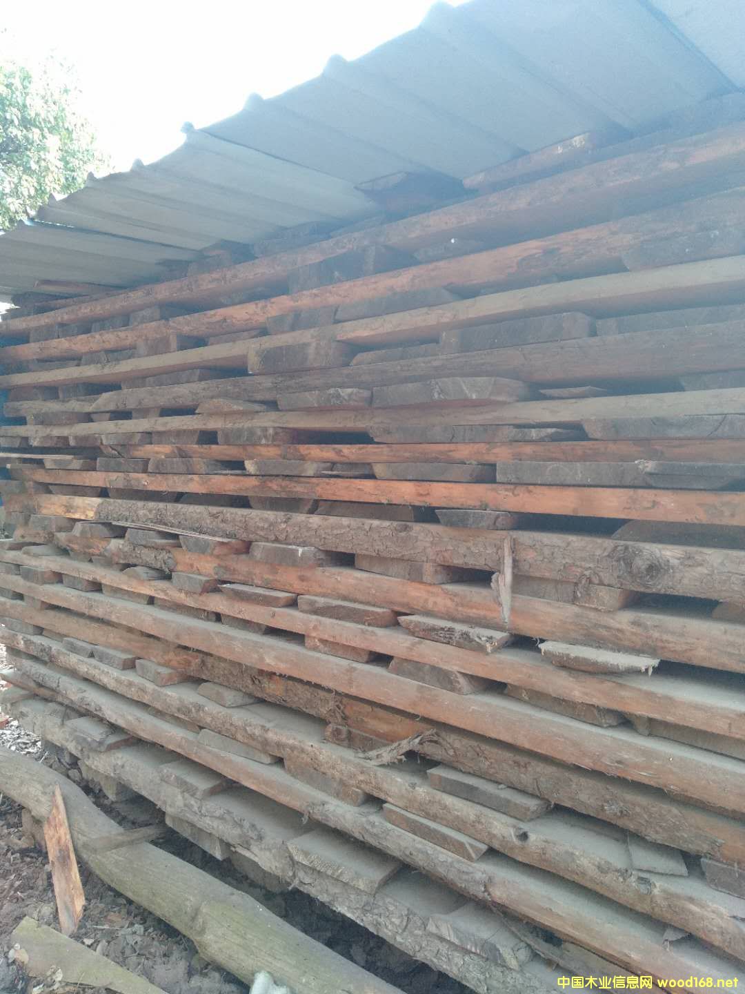 �|���L(zh��ng)��ɽ�t�ɰ��