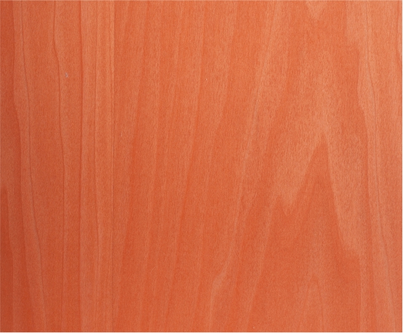 ���R�˳�Ⱦɫľ�����Ԕ����B