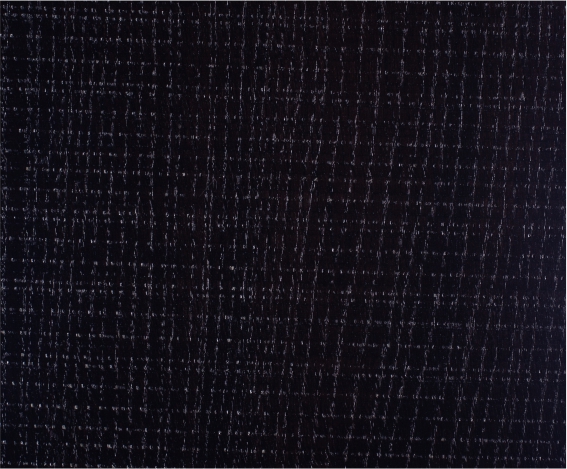 �W����X���zľ����