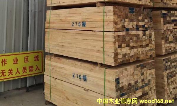 ľ����Ԕ����B