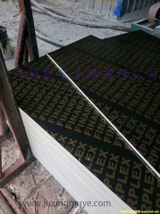 ����ľģ���Ԕ����B