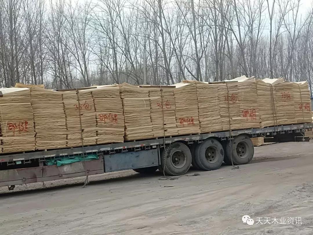  ��Ԕ����B