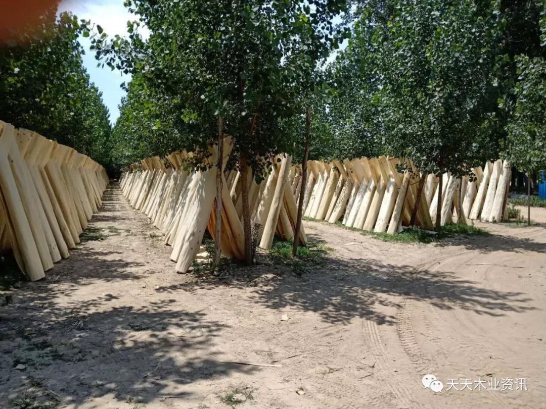  ��Ԕ����B